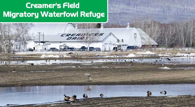 Creamer Field Migratory Waterfowl Refuge