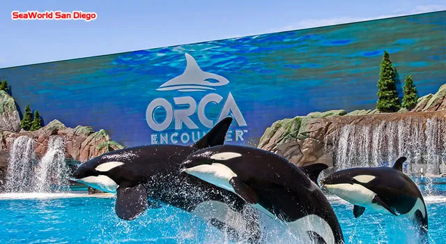 SeaWorld San Diego