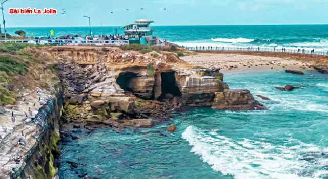 Bãi biển La Jolla